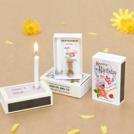 September Birth Flower Seeds And Birthday Candle Gift