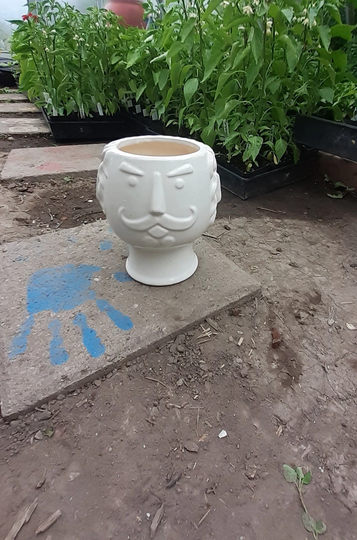 Funny Face Pot, Angry Unique Pot Planter, Planter