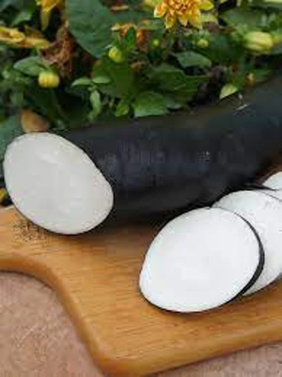 Rare Original Seeds Radish "Black Long