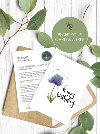 Plantable Seeded Birthday Card - Eco Friendly Gift Including Certificate To Plant Their Own Tree At A Reforestation Project