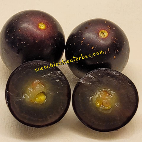 Muscadine Grape Seeds | Big Black Grapes