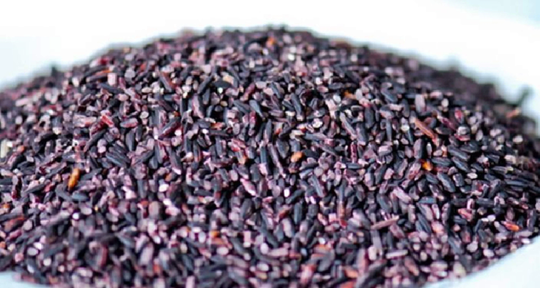 Purple Rice 400 Seeds Forbidden Nutty Flavor Easy To Grow Organic Plants Viable