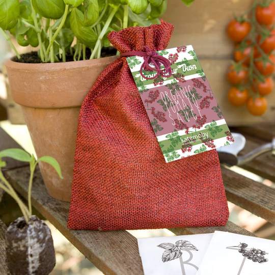 Grow Your Own Organic Tomato Sauce Gift Set