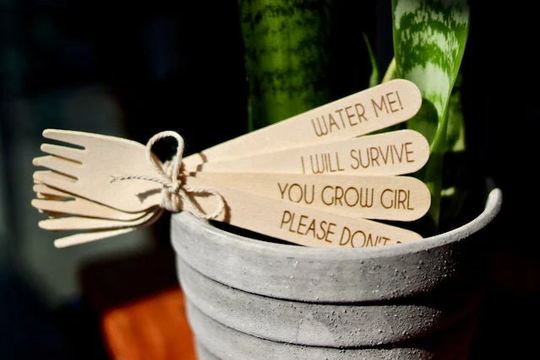 House Plant Garden Sticks. Set Of Four House Plant Labels With Sassy Sayings