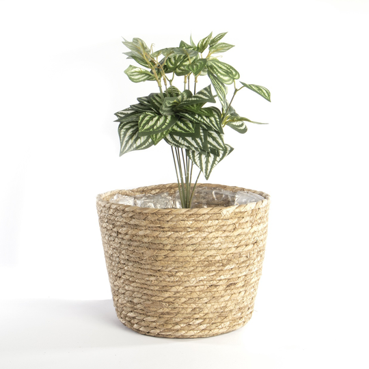 Set Of Three Seagrass Planters