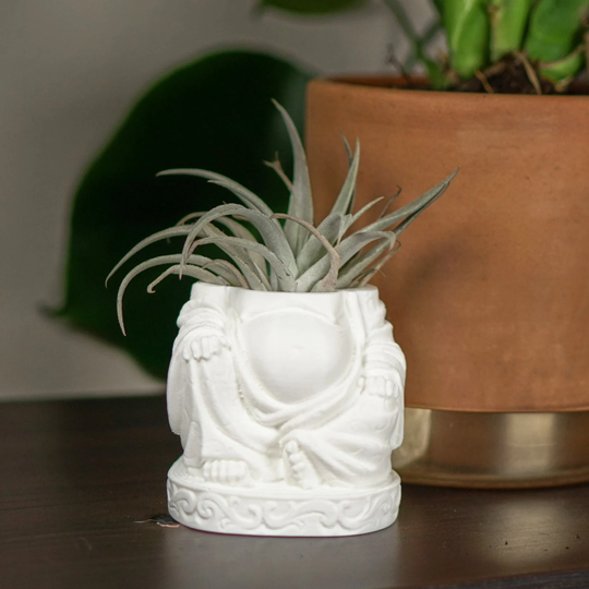 Buddha Planter, Indoor Succulents, 3D Printed Cute Air Plant Holder, Fun Home Decor