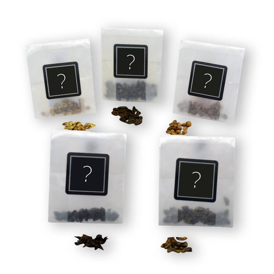 Random Bonsai Seed Collection
