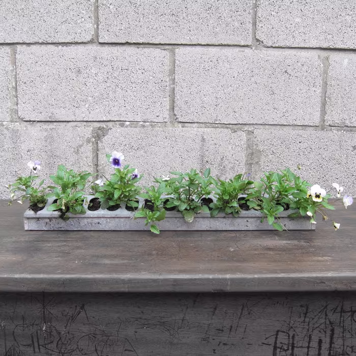 Industrial Garden Planter Flowers Window Metal Pot Plant