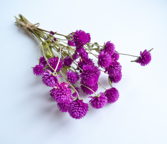 Dried Globe Amaranth, Purple Gomphrena, Wildflowers Floral Arrangements, Flower For Candle, Flower Resin Craft Diy, Boho Decor