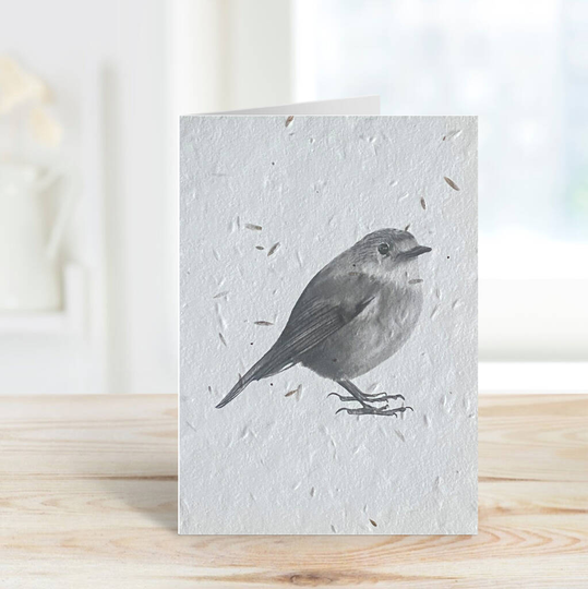 Atlas The Robin Plantable Seeded Greeting Card