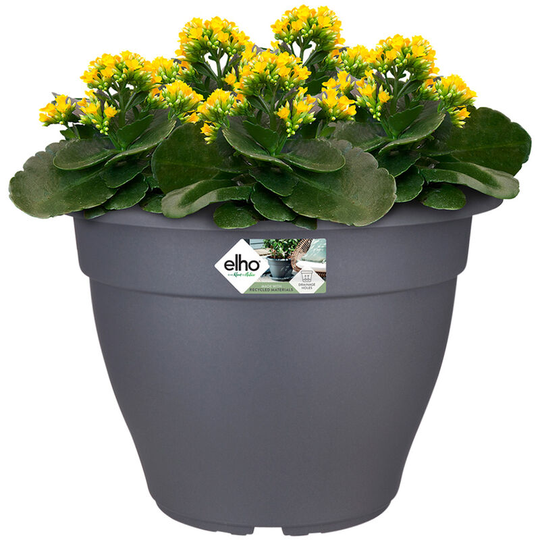 Elho - Flowerpot Torino Campana Plant Pot Round Planter Indoor Outdoor Flower Box Plastic Anthracite 7 Liter (de)