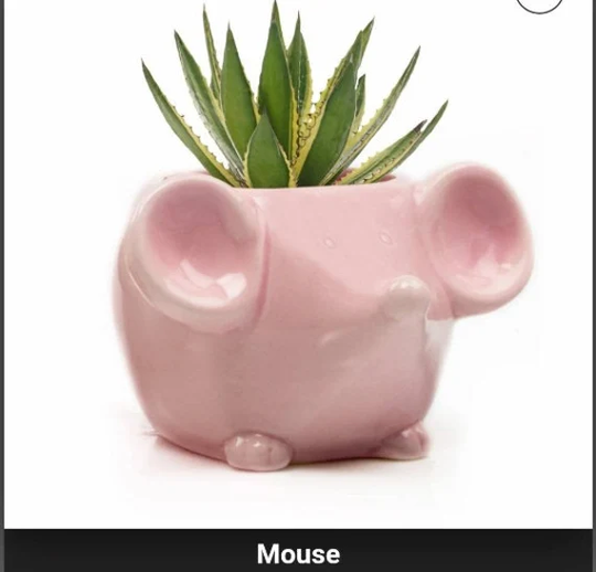 Porcelain Animal Planters in Vibrant Colours, Idea Student Gift, Fiver Savings