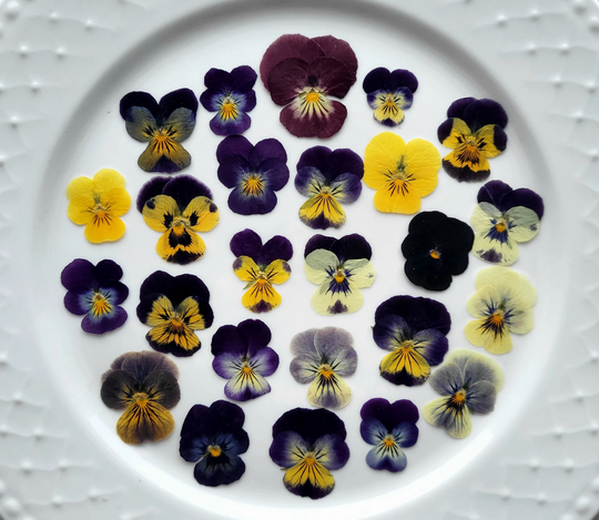 Pressed Pansies Flowers, Natural Dry Viola, Flower Mix For Resin, Collage, Invitations, Decor, 25 Pcs