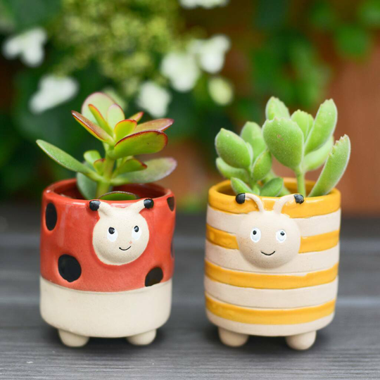 Bumble Bee And Ladybird Planters With Choice Of Plants