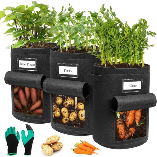 Vertical Plant Bag, Garden Plant Bag Wall Hanging Planter Hanging Planter for Balcony Indoor and Outdoor Planter 6 Pockets (Black)
