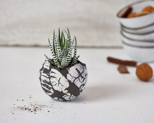 Small White & Black Modern Boho Chic Planter For Succulent | Indoor Plant Pot Wedding Table Decorative Centerpiece Or Giveaway
