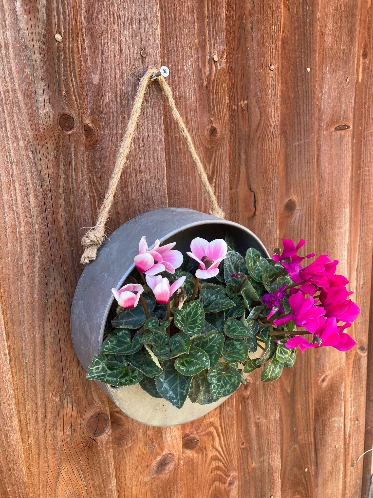 Grey Zinc Wall Planter Hanging Plant Pot Outdoor Garden Balcony Fence 20cm