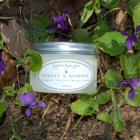 Violet And Rosehip Organic Replenishing Cream