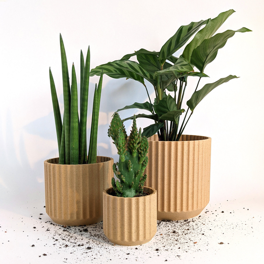Eco Planter - Roman Planet Friendly Geometric Plant Pot