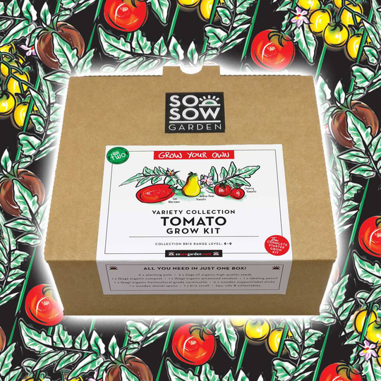 Tomato Variety Grow Your Own Kit Volume Two