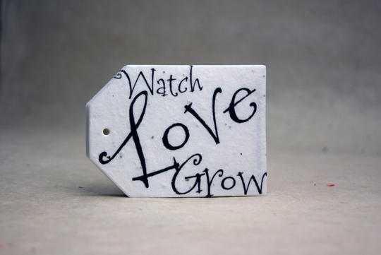 Watch Love Grow Gift/Favor Tags 2.5" Wide By 3.375