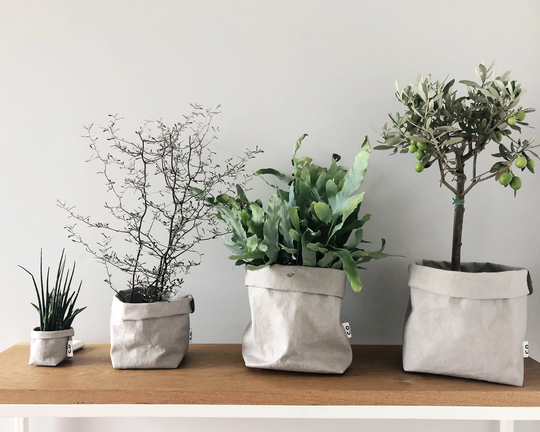 Kraft Paper Bag, Washable Storage Basket, Vegan Planter, Simple Living, Zero Waste, Sustainable Storage, Gift