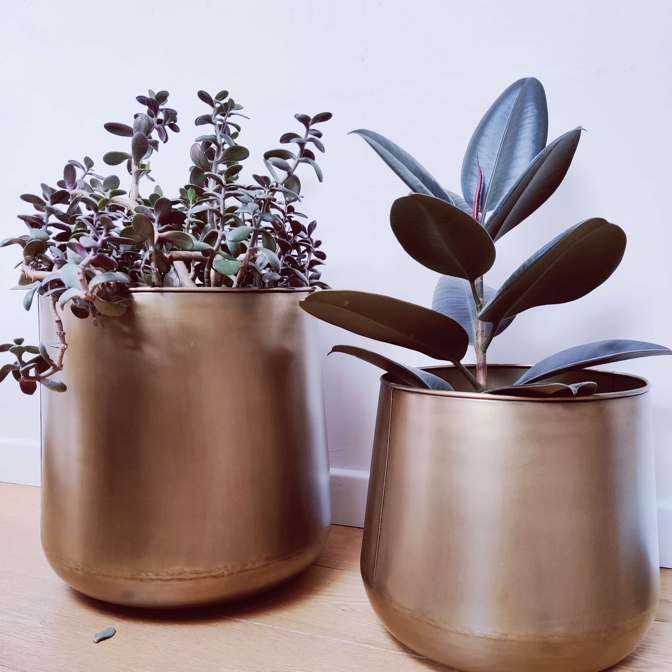 Supersize Large Metal Plant Pot 30x38cm Or 40x48cm/Large Indoor With Brass Finish Elegant Belly Planter