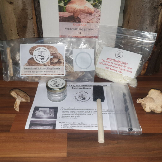 Shiitake Mushroom Log Dowel Kit