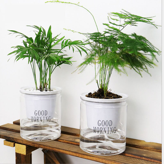 Good Morning Self-Watering Planter Pot