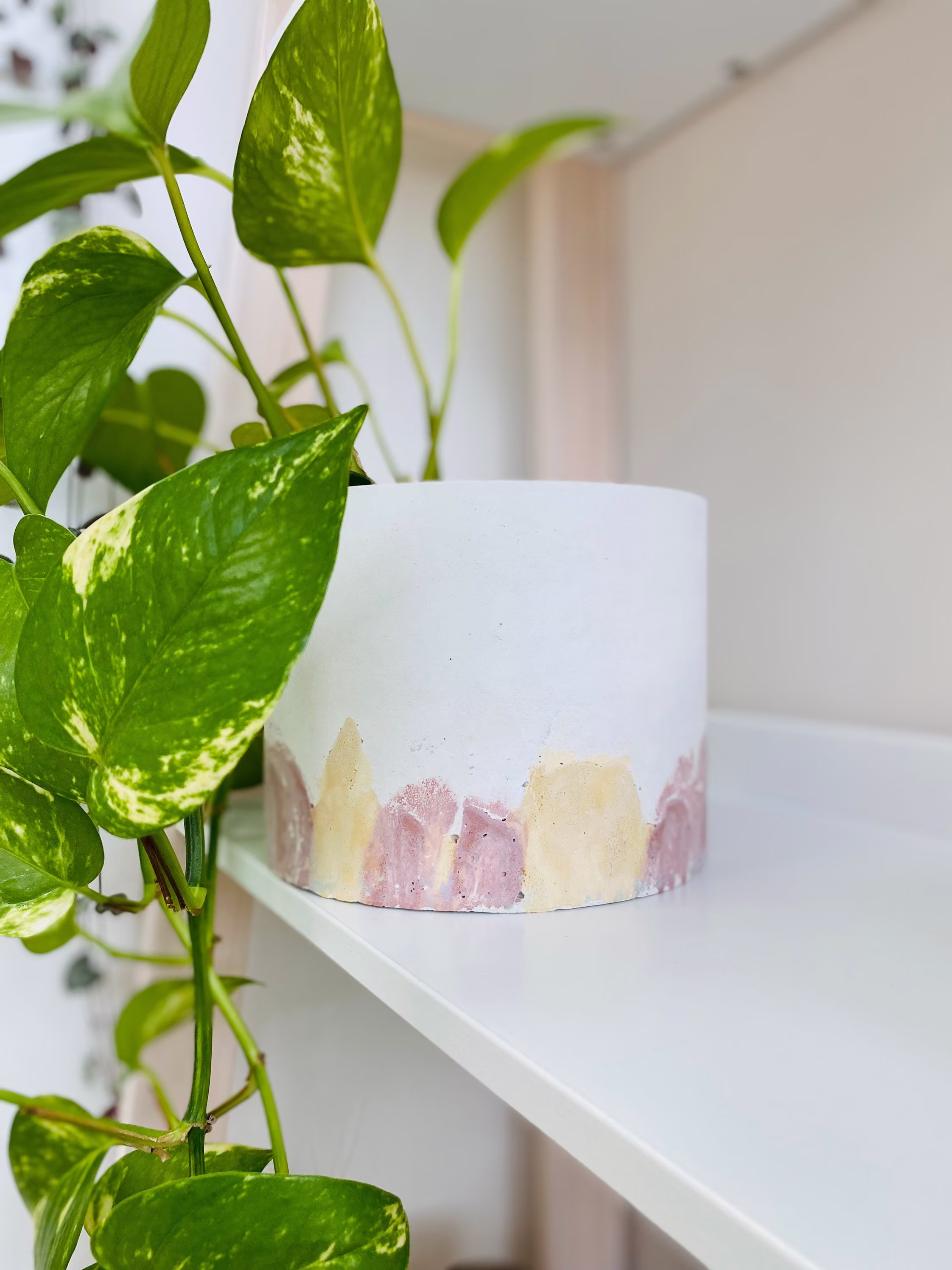 Concrete Plant Pot | Cement Planter Indoor Plants