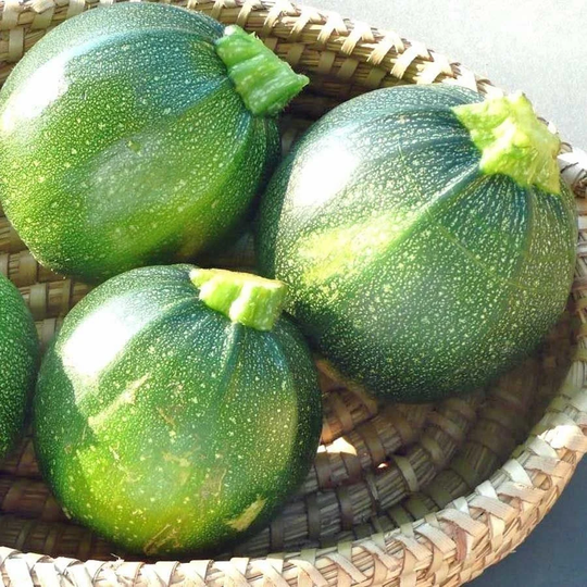 Zucchini Seeds Sweeties