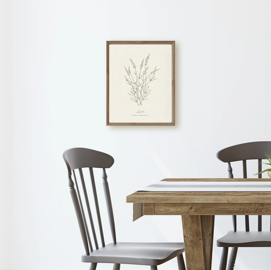 Lavender Botanical Herb, Neutral Minimalist Line Drawing, Wall Art Print