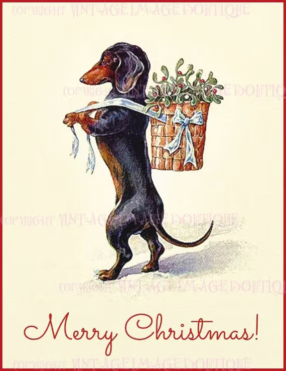 Antique 1920's Illustration Of A Dachshund Carrying Basket Mistletoe Christmas Season Winter Solstice Holiday 5x7 Greeting Card