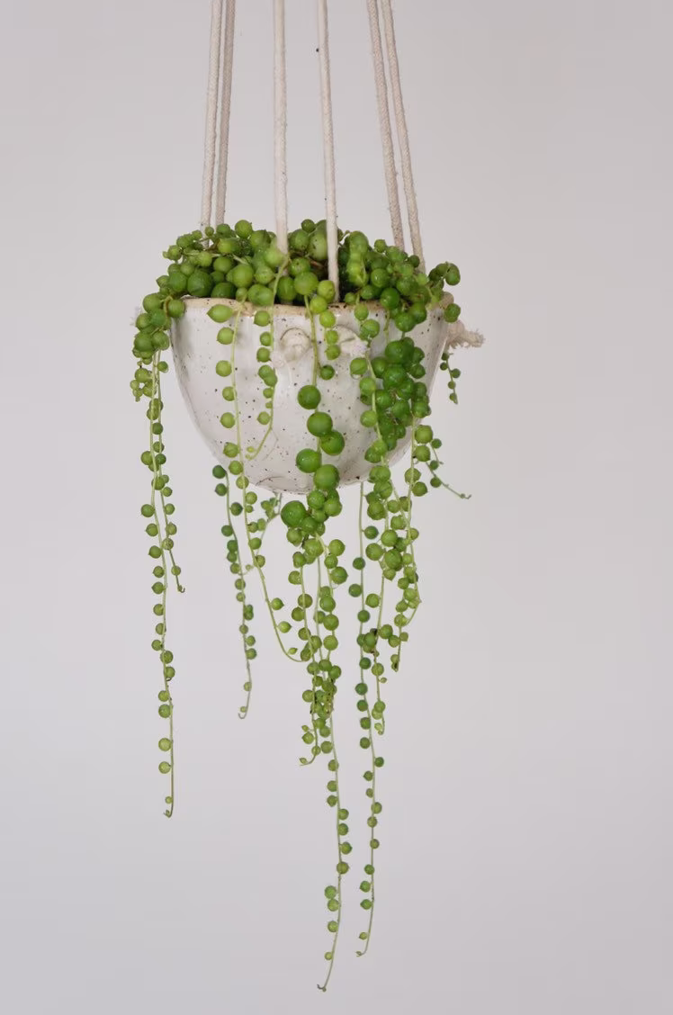 Natürel Knotty - Hanging Planter