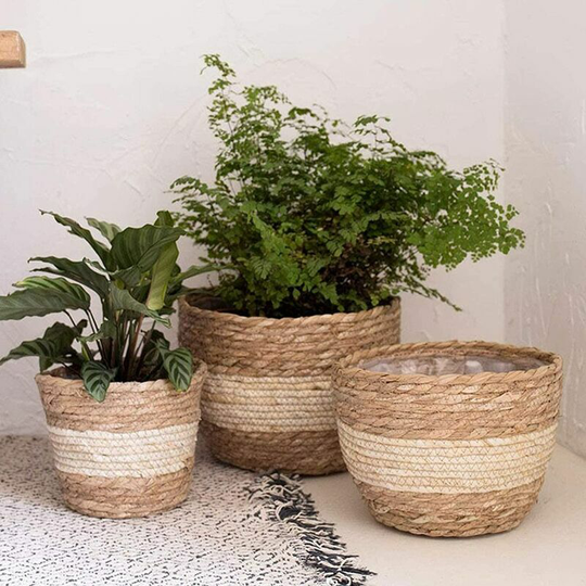 Set of 3 Seagrass Planter Basket Indoor Outdoor with Lid Flower Pot Beige (Diameter 26-18cm)
