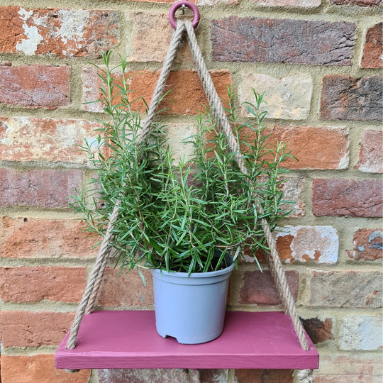 Painted Pink Wooden Hanging Rope Shelf For Garden Home Bathroom Handmade in The UK Using High Quality Rustic Wood & Rope