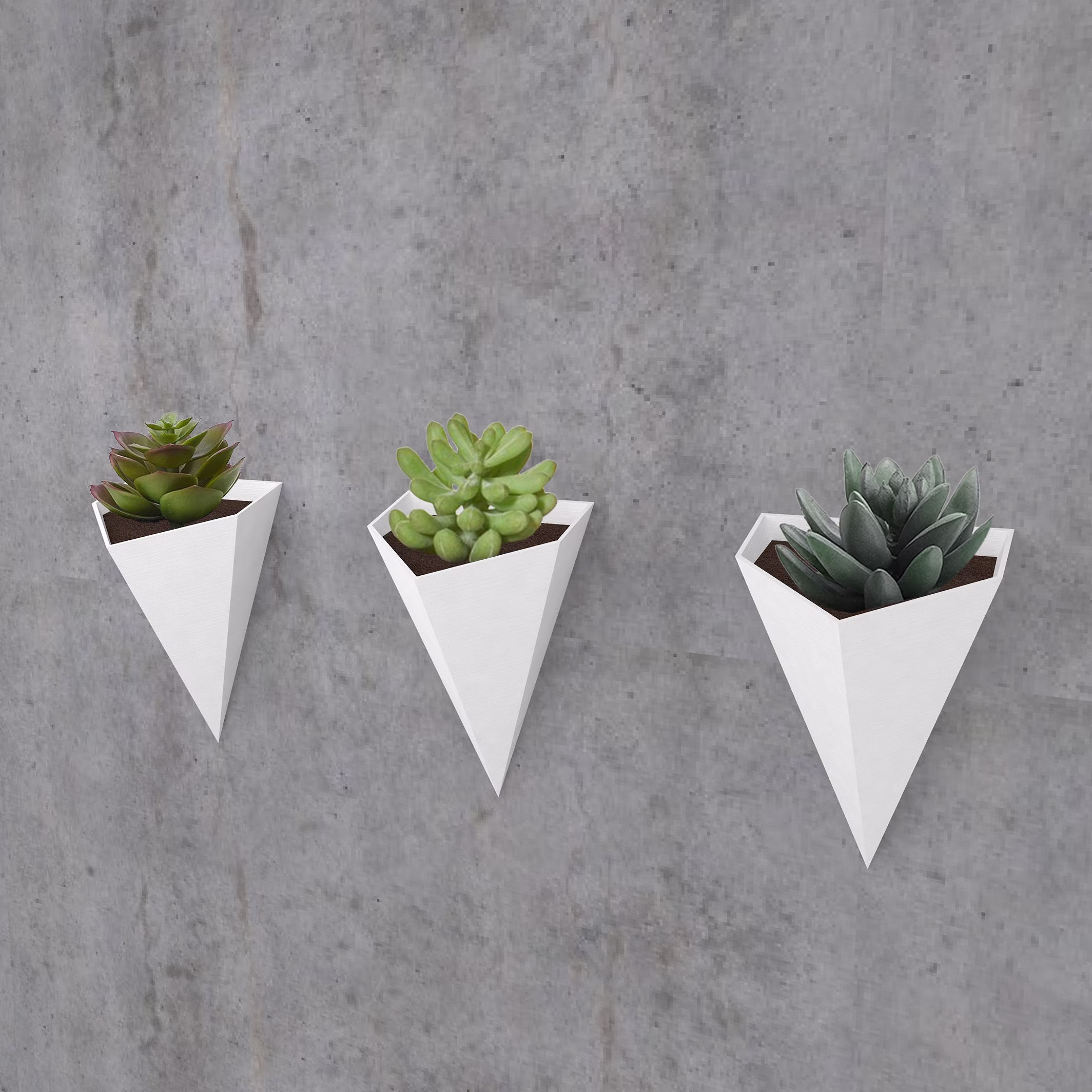 Tall Triangular Wall Planter, Ideal For Succulents, Cacti, & Other House Plants, Modern Decorative, Light, 3D Printed [Made in Canada]