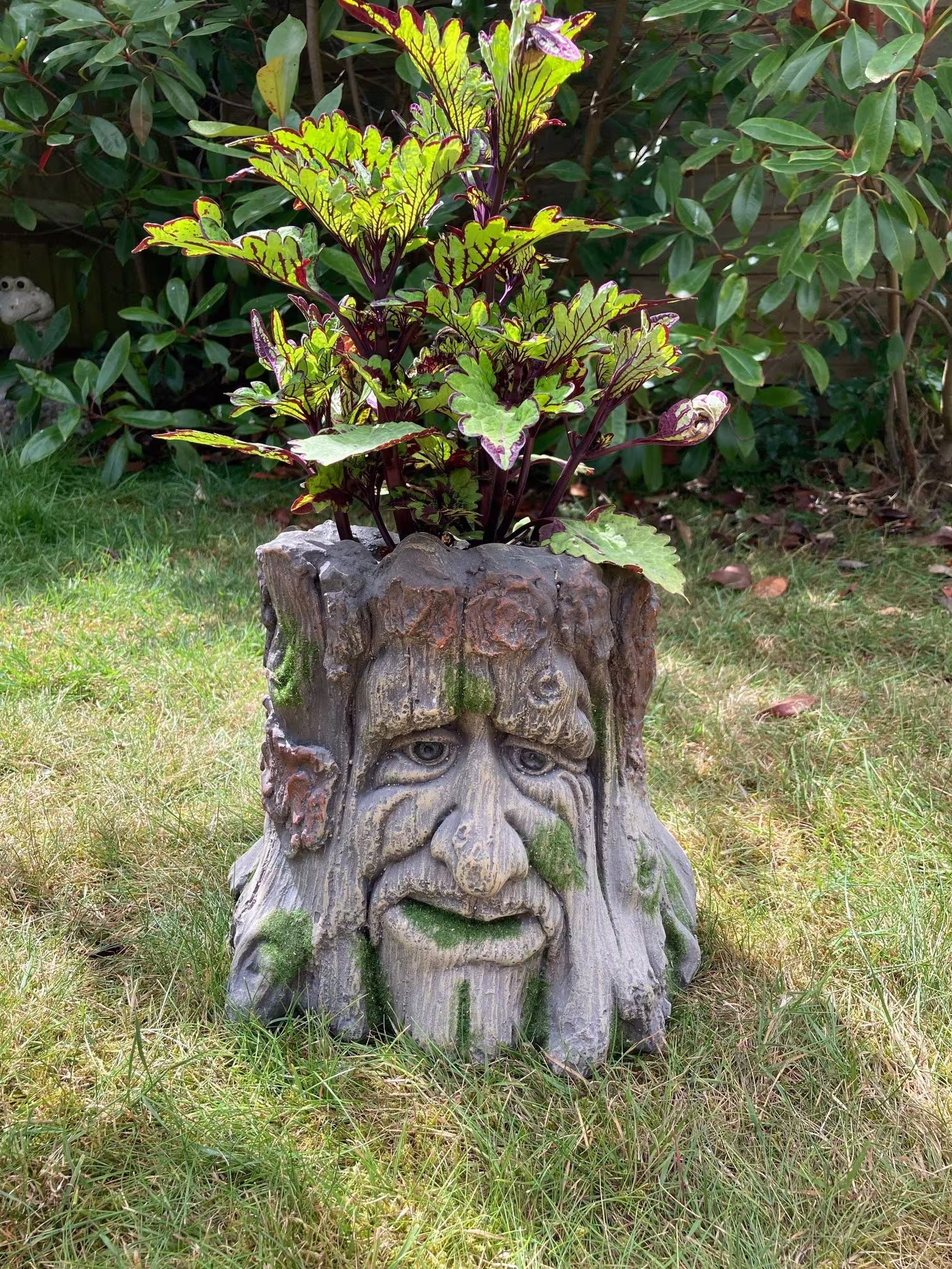 Tree Trunk Stump Planter Wood Effect Mans Face Novelty Patio Ornament Plant Pot