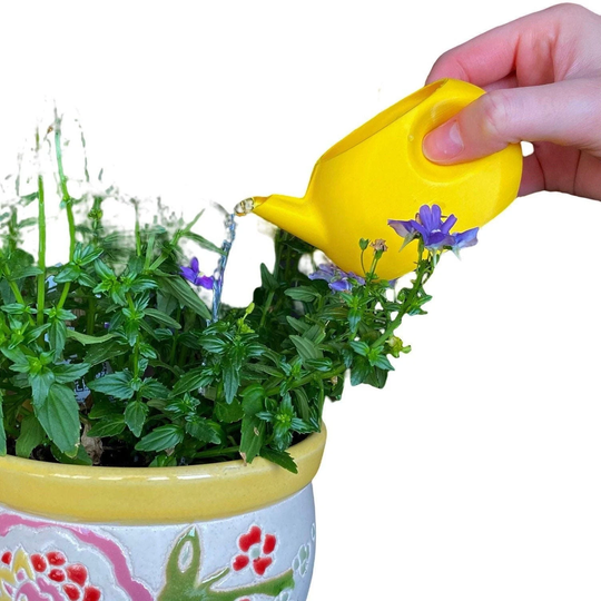 Miniature Succulent Watering Can