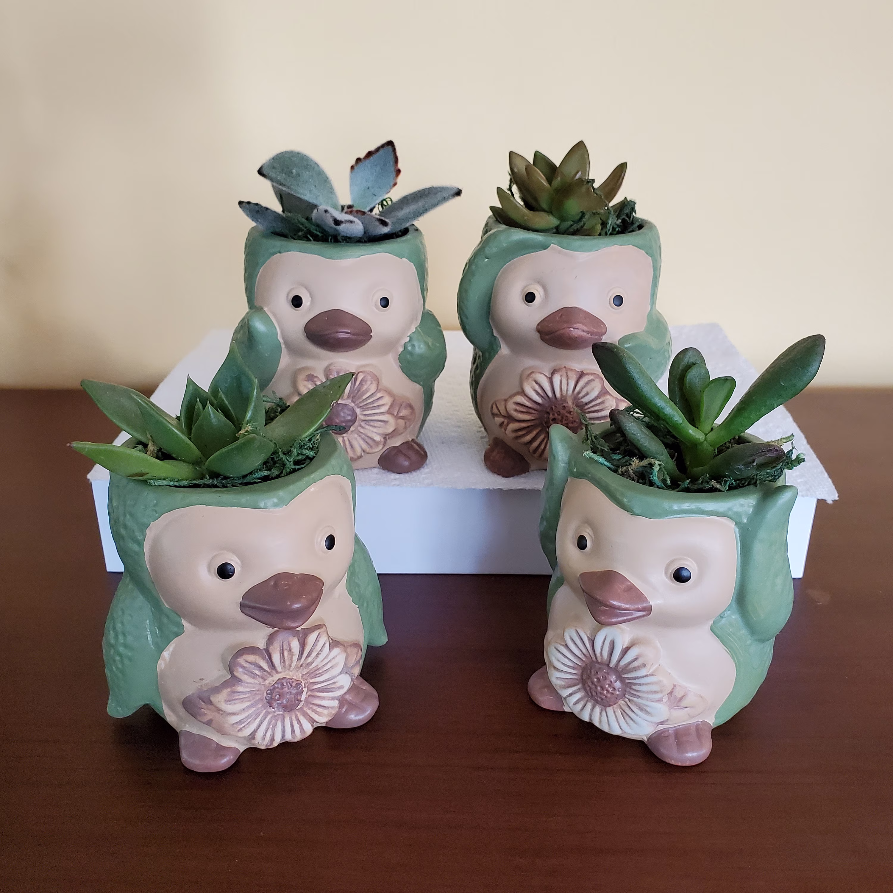 Penguin Planter With Succulent, Live Potted Succulents, Animal Planter, Green Penguin, Flower Pot, Plant Lover Gift, Succulent Gift
