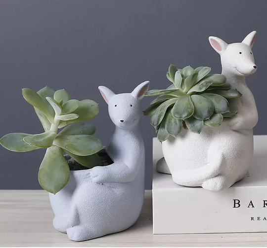 Cute Ceramic Kangaroo Planter | Small Succulent Drainage Hole Animal Gifts For Plant Lovers