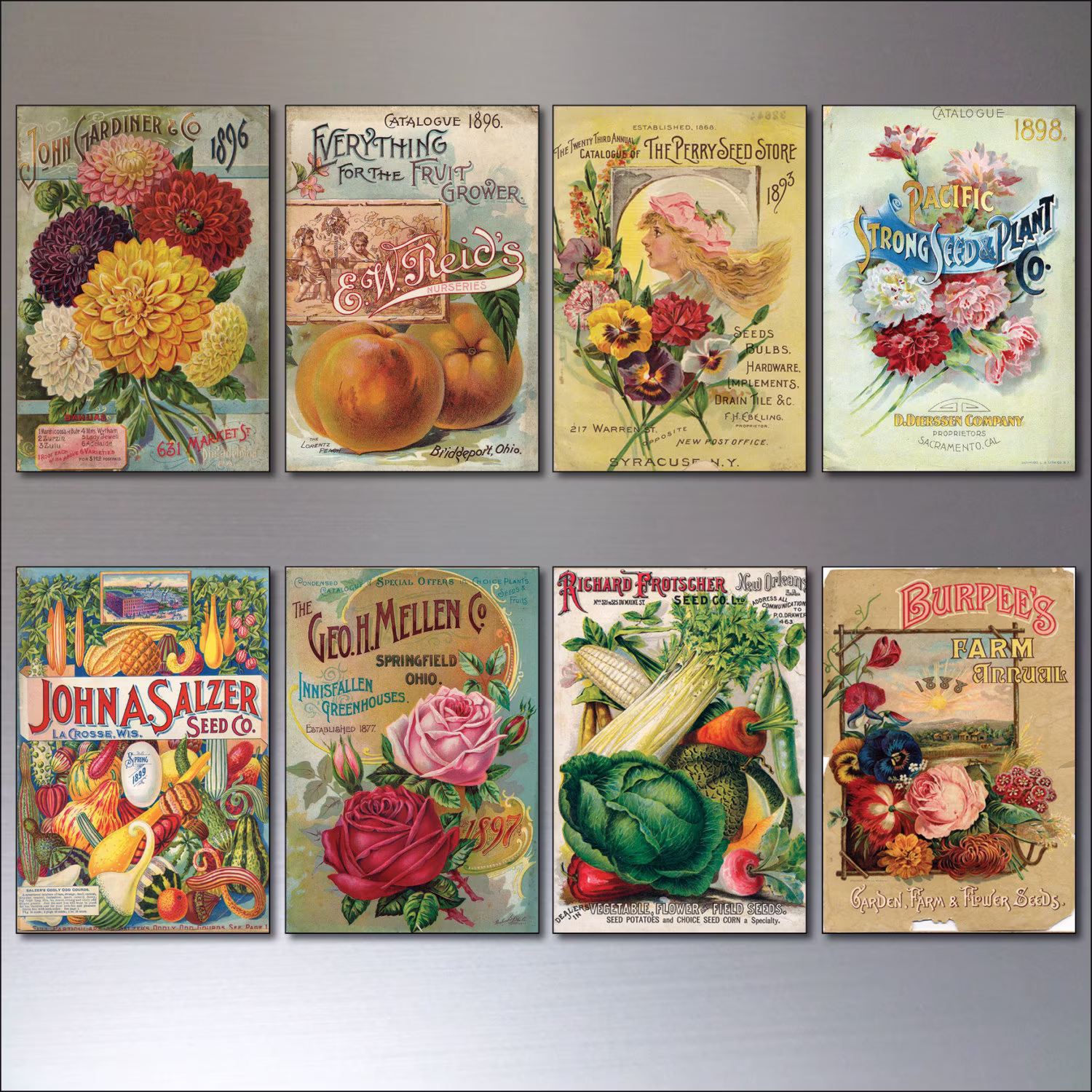 Vintage Botanical/Horticultural Seed Packet Fridge Magnets - Set Of 8 No.2