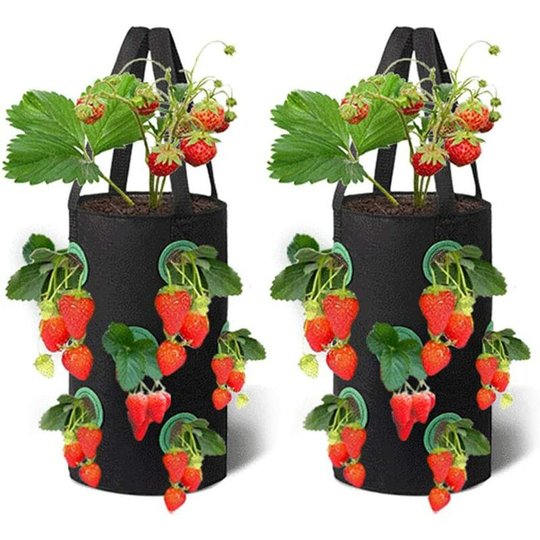 2 Packs Strawberry Grow Bags,28X33 cm Breathable Planter Bag with Side Grow Pockets Handles for Garden Strawberries, Herbs, Flowers, Tomatoes (Black)
