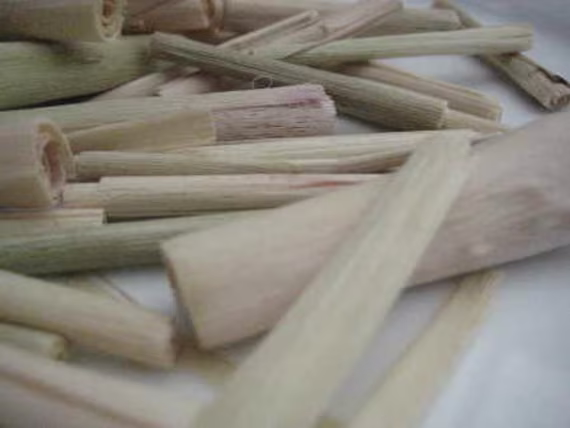 Lemongrass Stalks - Cymbopogon Flexuosus 25 Grams