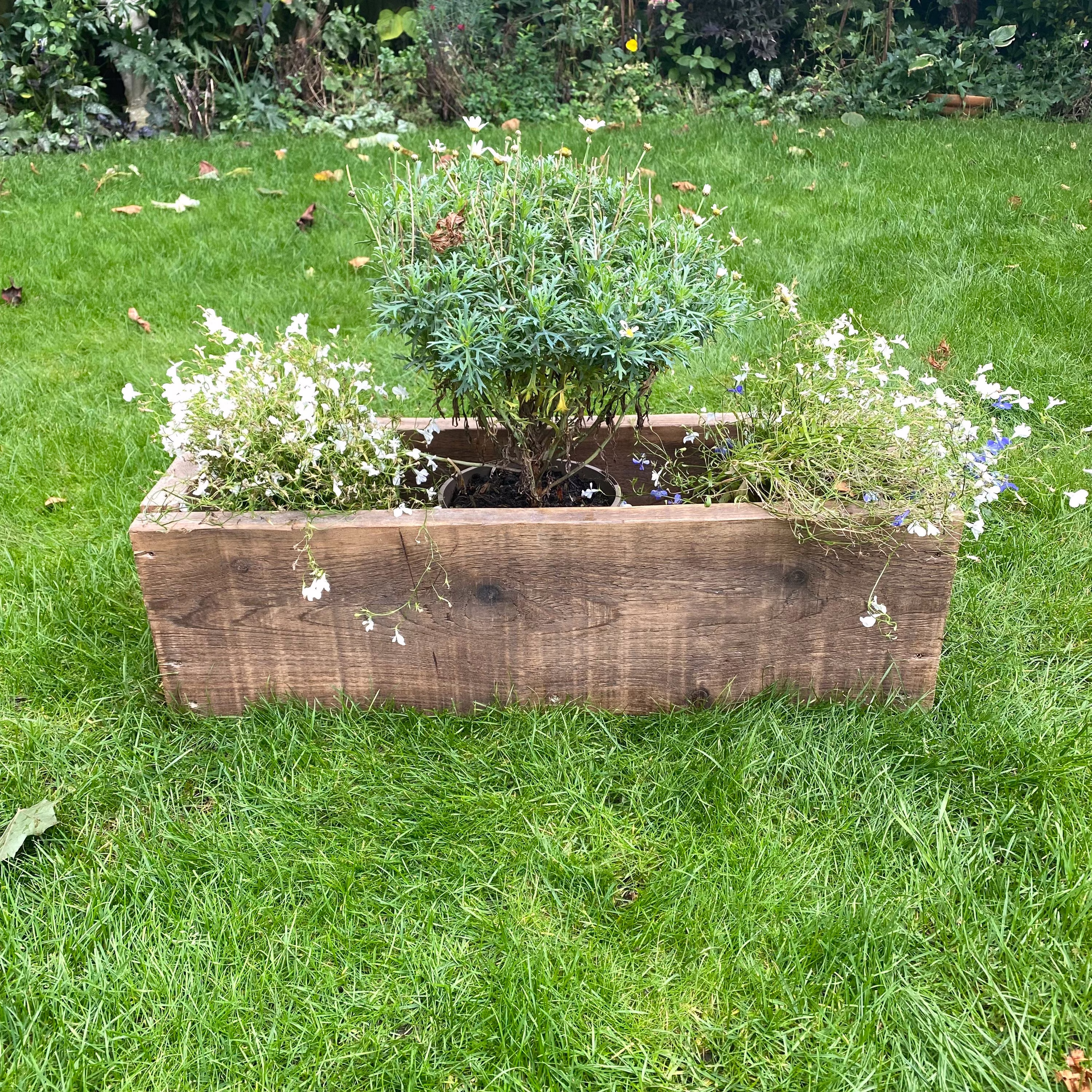 Forêt Industrial Rustic Garden Flower Bed Planter Pot Handcrafted With Solid Wood