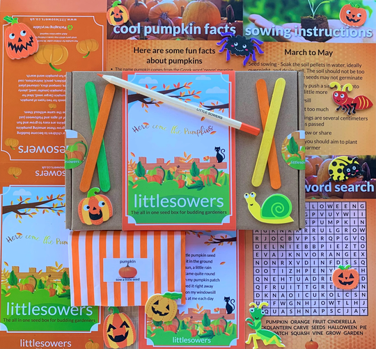 All in One Pumpkin Seed Box For Budding Little Gardeners