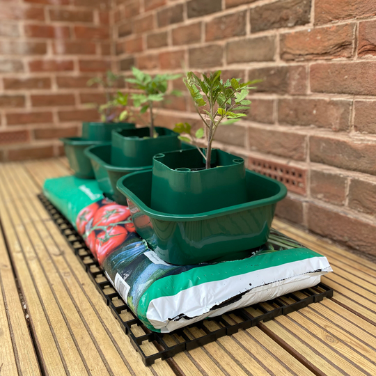 Tomato & Vegetable Growbag Pots