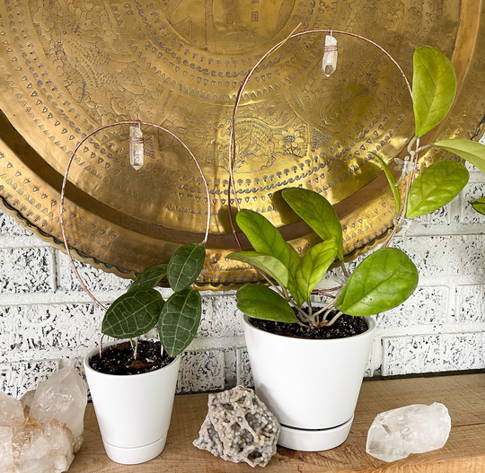 Hammered Copper & Quartz Loop Trellis, Hoya Houseplant Small Trellis