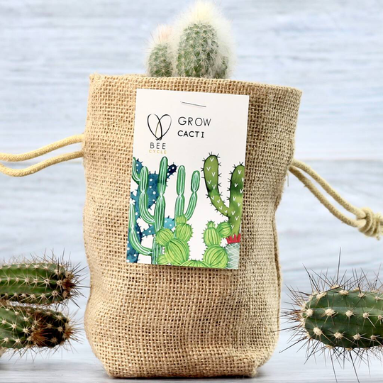 Cactus Jute Bag Grow Set