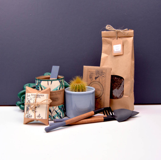 Grow Your Own Cactus Gardening Gift Set